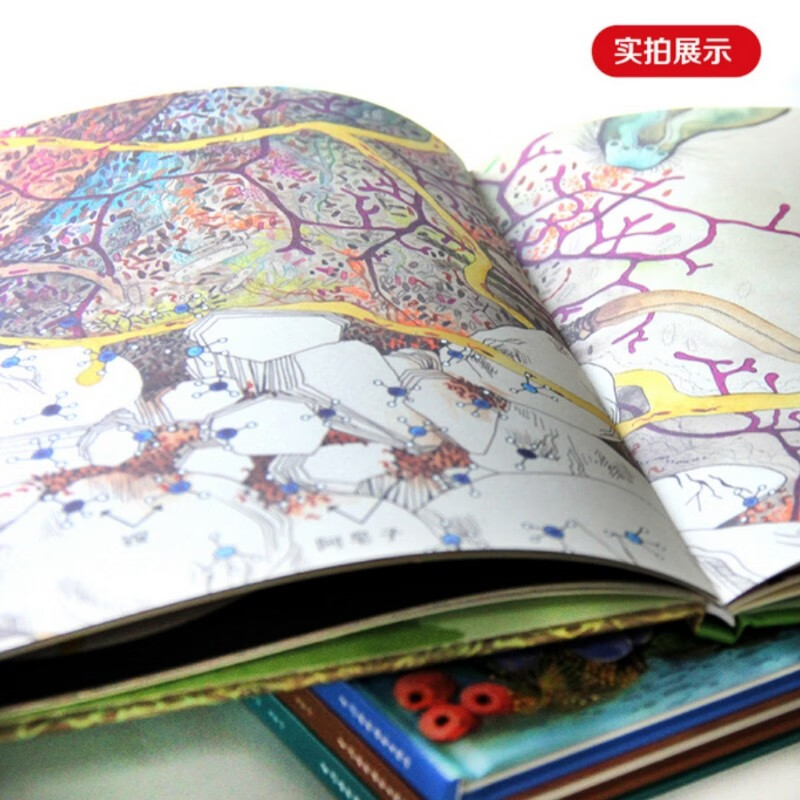 我的微生物朋友