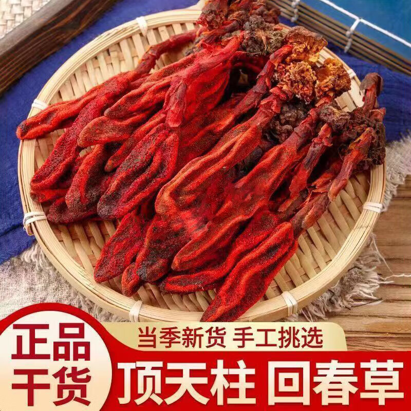 云南野生回春草中药材 泡水泡酒精选回春草顶天柱 250g精选