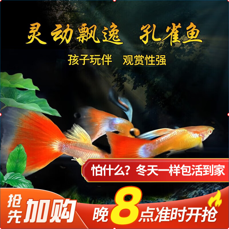 斗鱼】相关京东优惠商品排行榜(9) - 价格图片品牌优惠券- 虎窝购