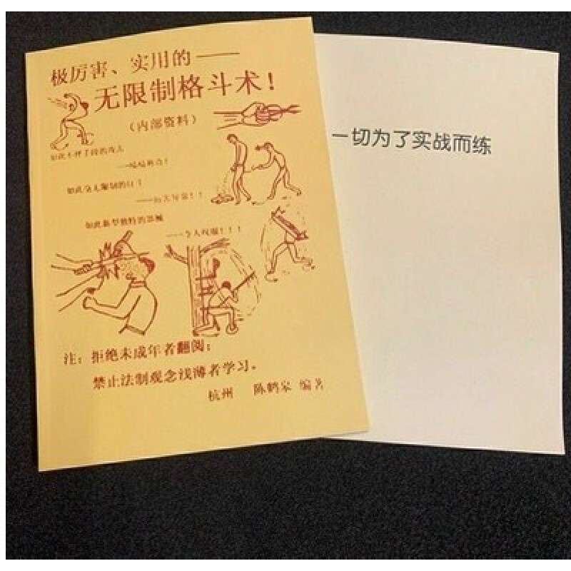 陈鹤皋极厉害实用的无限制格斗术+为了实战而练两本TT