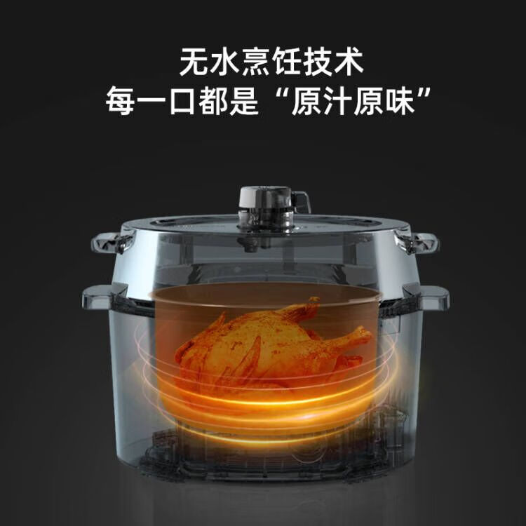 爱丽思(IRIS) 爱丽思电压力锅家用高压锅电饭煲火锅智能多功能电饭锅IRIS大容量 4L白色【点阵屏】【80%顾客的选择】 4L