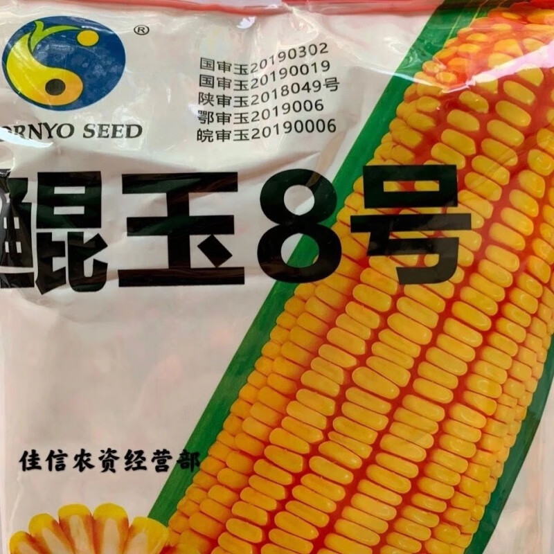 细辛国审玉米种子鲲玉8号，大棒红轴籽深轴细。产量高抗性强！怎么看?