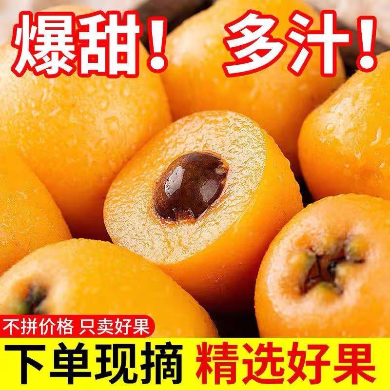 芊煜枇杷蒙自枇杷新鲜水果大果枇杷现摘树上熟 1斤中果装试吃装【单果12-15克】 颗颗精选怎么样,好用不?