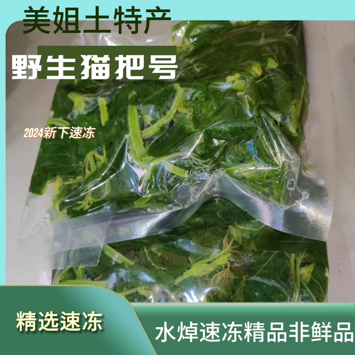 新鲜速冻猫把号新鲜山野菜食用野菜新鲜速冻猫把号 精品速冻把号 一斤