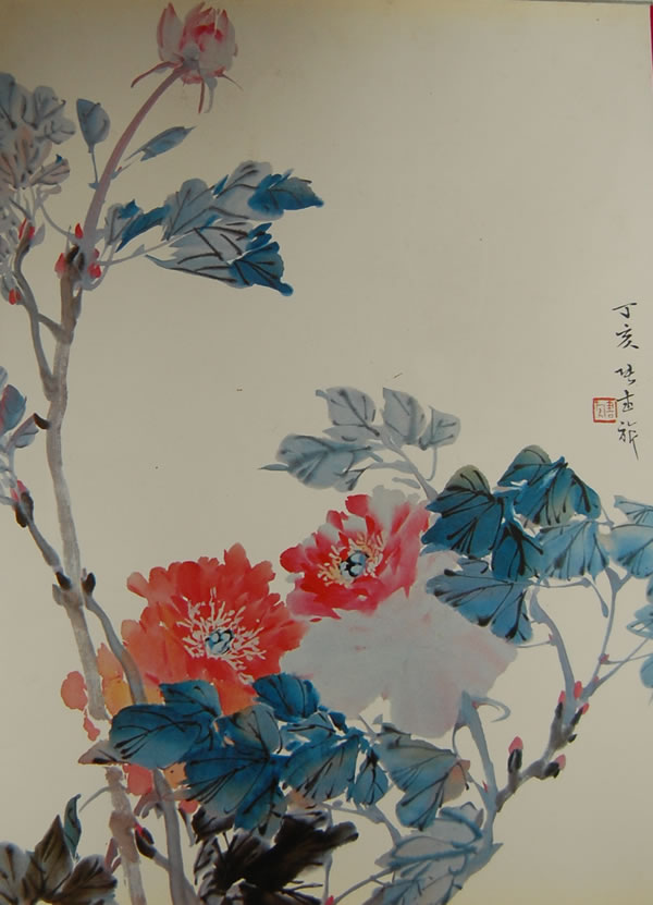 张书旗画集 张纪恩 编【正版书】