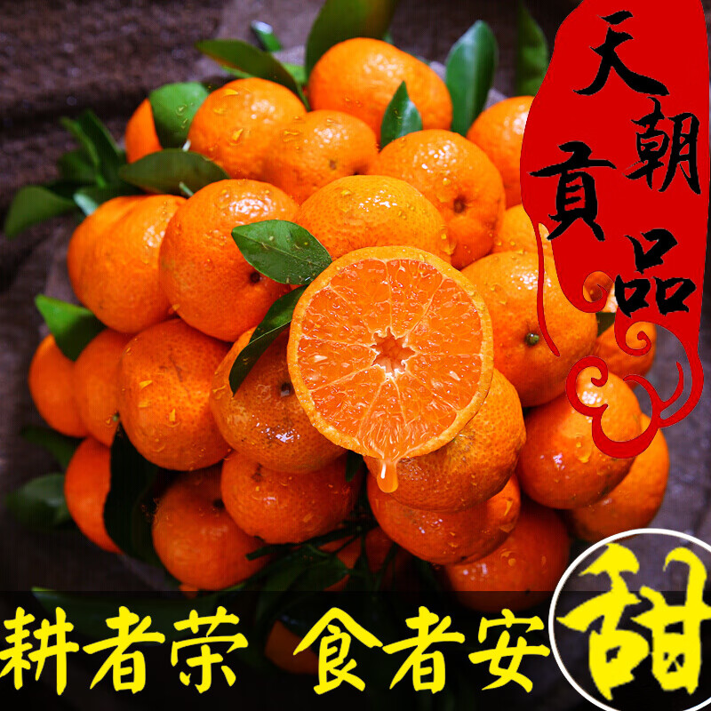 广西新鲜沙糖桔 当季砂糖橘无籽蜜橘水果 砂糖桔水果  皮薄小桔子柑橘整箱 精选5斤