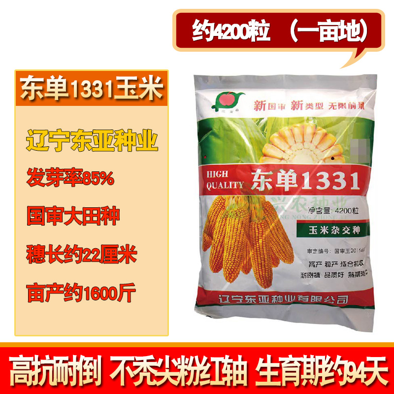 东亚东单1331玉米约4200粒/袋