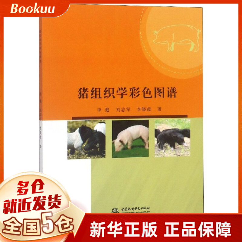 猪组织学彩色图谱