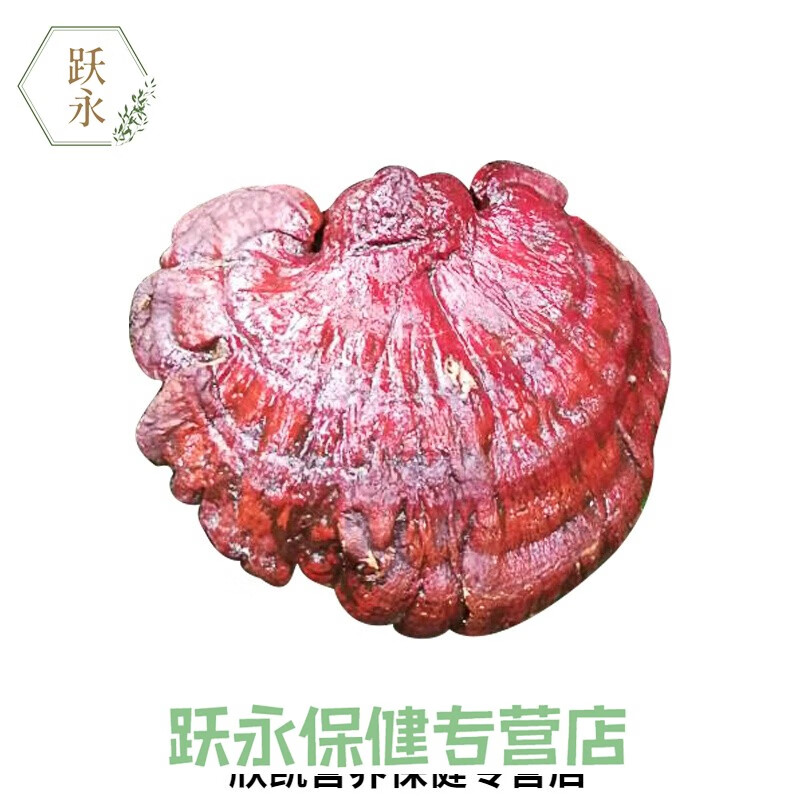 贵州新鲜野生赤灵芝整枝血灵芝可切片250g红灵芝