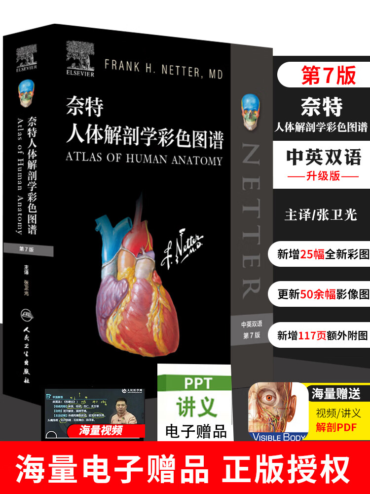 奈特人体解剖学彩色图谱 第七版7双语 临床医学生理学内外科法医局部