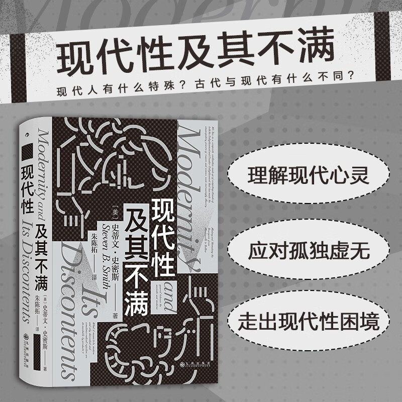 现代性及其不满(精) 智慧宫系列丛书012 政治哲学思想史文化批判现代性困境 西方哲学书