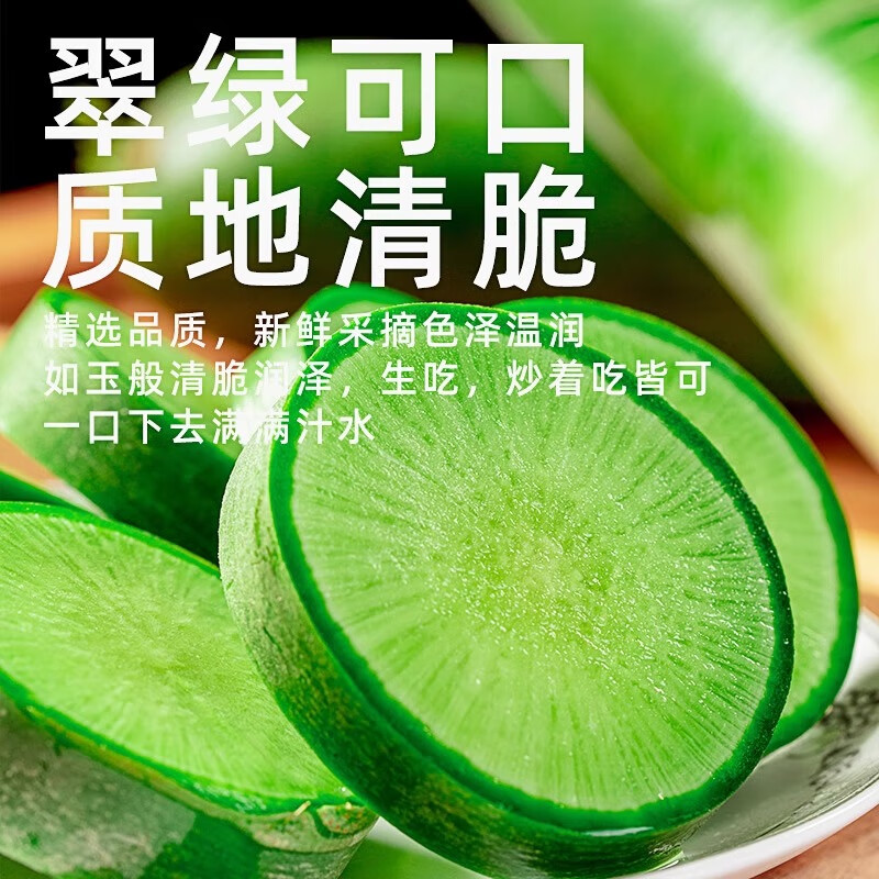 源惠鲜礼【到吃萝卜季节啦】新鲜潍坊水果萝卜 潍县绿萝卜 生吃脆甜新货 潍县水果萝卜 3斤装
