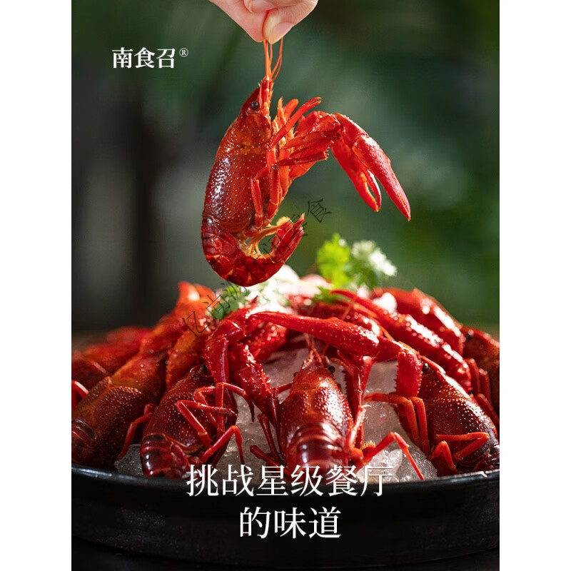 望蓝川南食召 花雕熟醉小龙虾 鲜活冰醉冰镇鲜嫩弹牙盱眙6-8钱600g