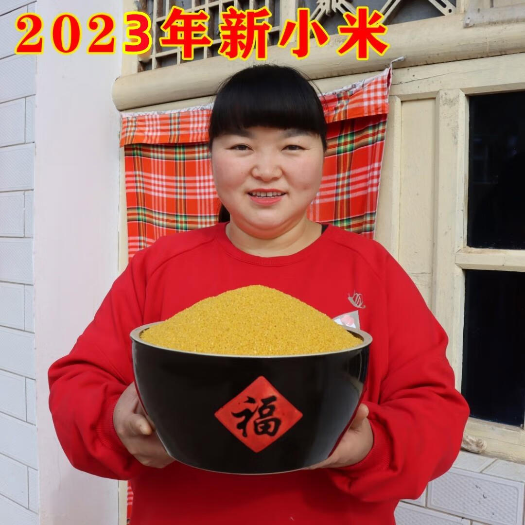 eoagx霞姐情陕北高山正宗石碾农家黄小米月子米5斤装 新小米2.
