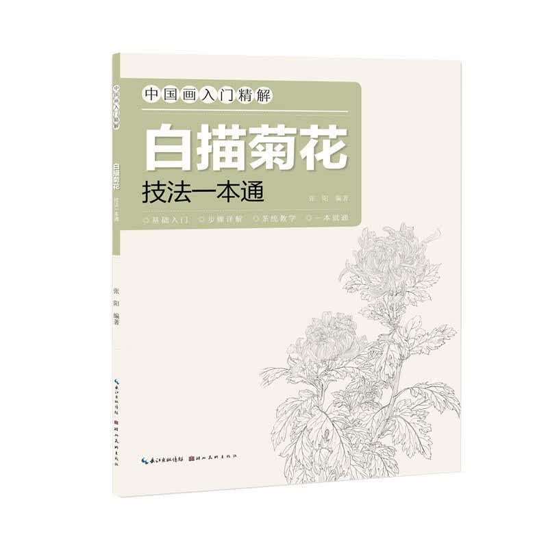 中国画入门精解-白描菊花-技法一解通