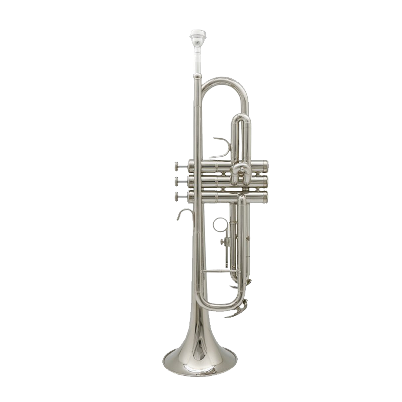 津宝JBTR-300小号乐器：价格稳定，音质清晰，舒适手感|查看小号商品历史价格的网站