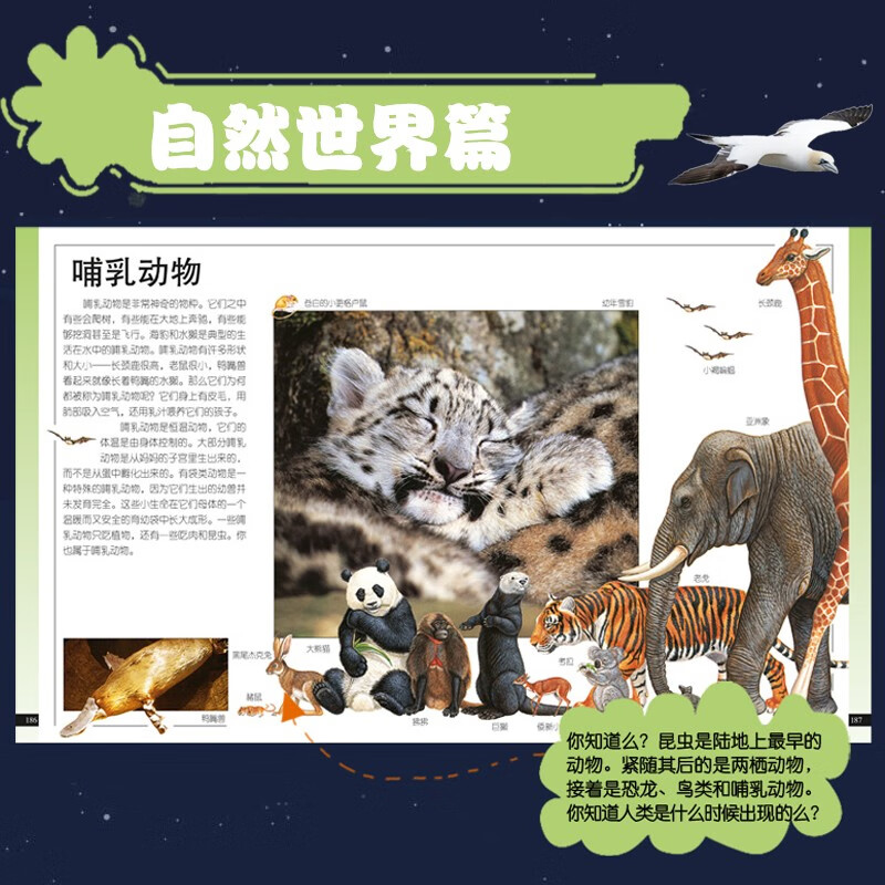 DK儿童百科全书（精致版）暑假阅读暑假课外书课外暑假自主阅读暑期假期读物详情图