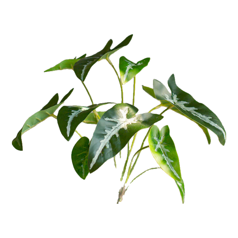 掬涵仿真植物野芋葉手感高檔綠植插花熱帶雨林裝飾花藝背景墻 仿真野芋葉（白）