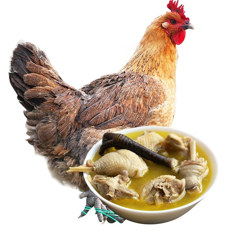 十里馋走地鸡  新鲜2年土鸡活鸡现杀现发老母鸡肉 生鲜笨鸡整只