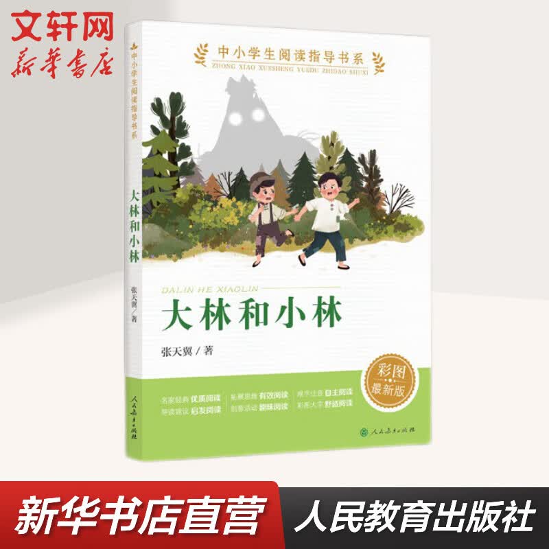 大林和小林 人教版 张天翼著小学生读物三四五六年级课外阅读书籍 人民教育出版社 图书怎么样,好用不?