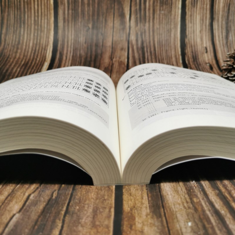 Python大学教程：面向计算机科学和数据科学（英文版）ChatGPT技术入门