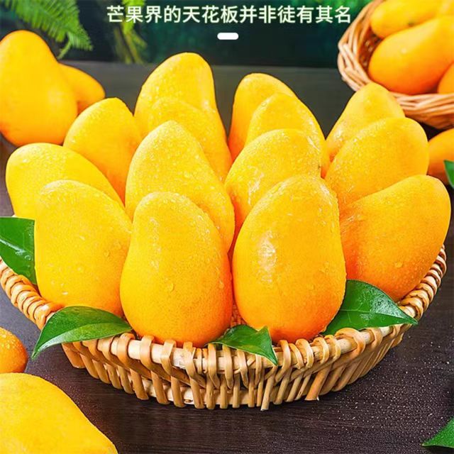 源由海南小台农芒果 应当季热带水果 小台芒 9斤装 40.6元