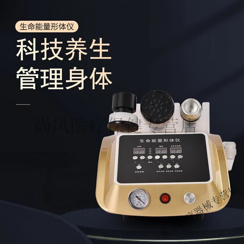麦嘉生命能量形体仪器欣昕刮痧全身理疗生物四季养生 生命能量仪(不