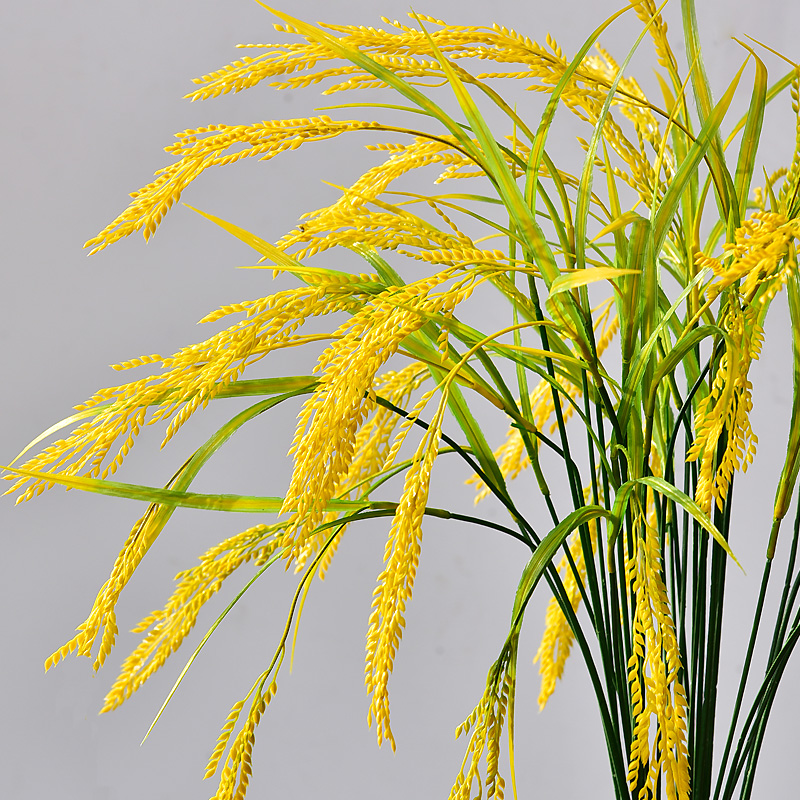 仿真稻谷假水稻麦穗稻穗麦子稻子小麦干花装饰花塑料花单支农作物