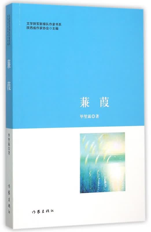 蒹葭/文学陕军新梯队作家书系