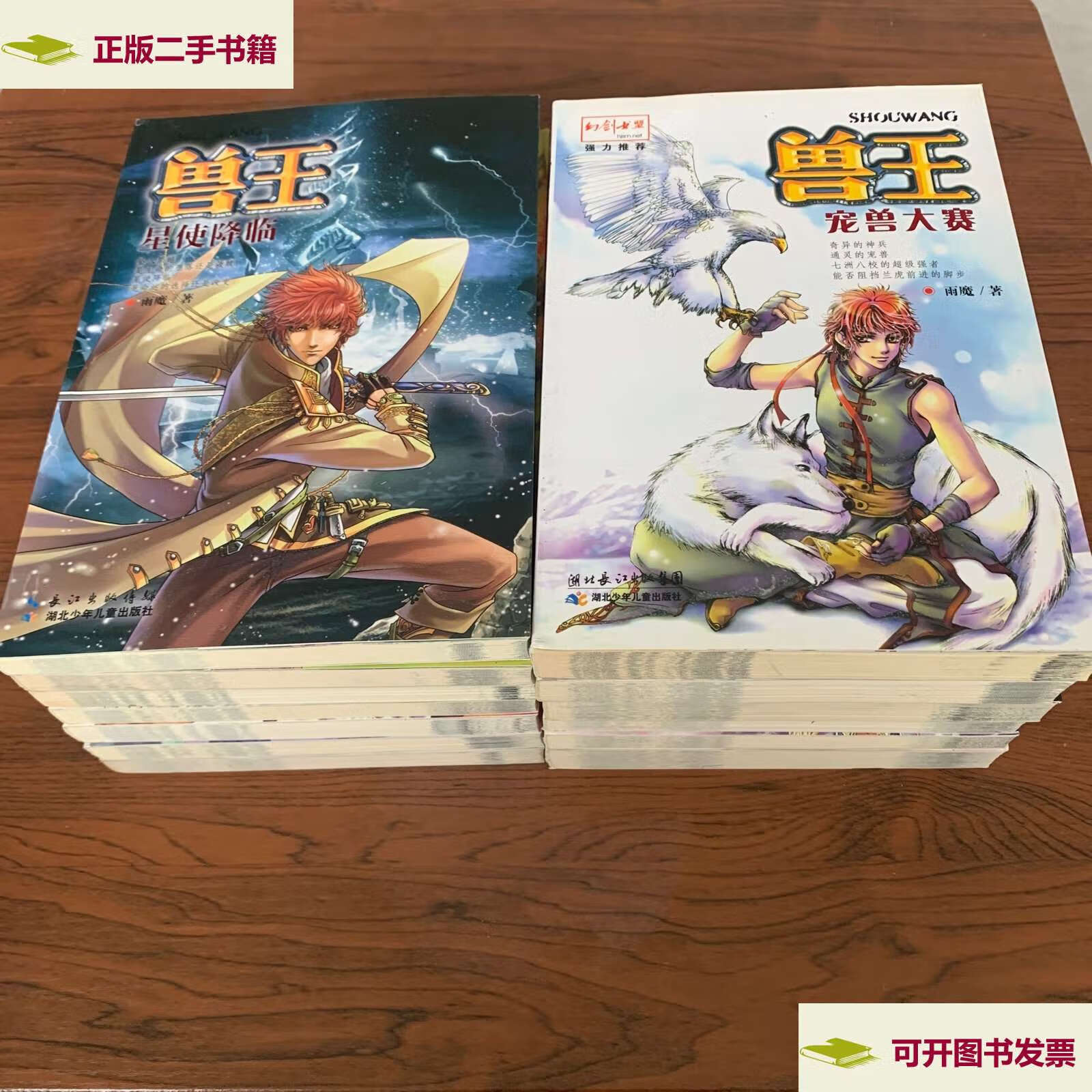 【二手9成新】兽王 13册合售 /雨魔 湖北少年儿童