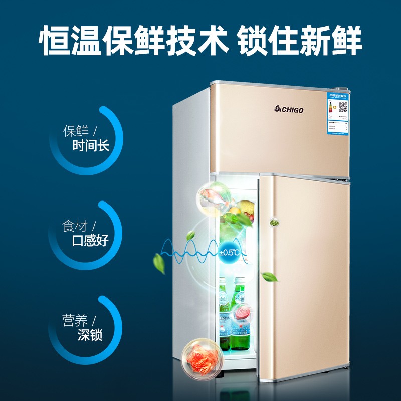 志高（CHIGO）【送货上门】 双门冰箱小型电冰箱 迷你家用小冰箱宿舍冷冻冷藏冷冻节能特价 【BCD-35P118-35L金色】