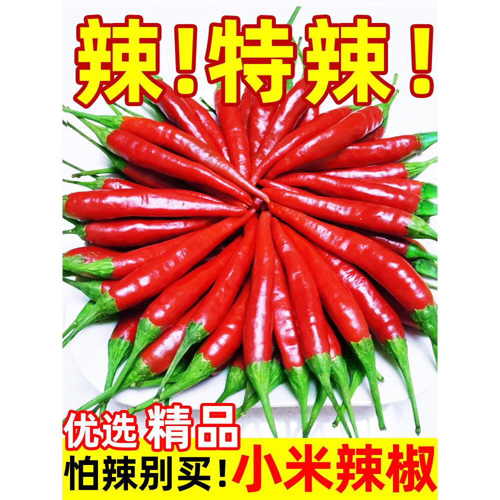 农大姐妹小米辣椒新鲜小米椒5斤朝天红超辣五七彩辣椒指天椒特辣蔬菜