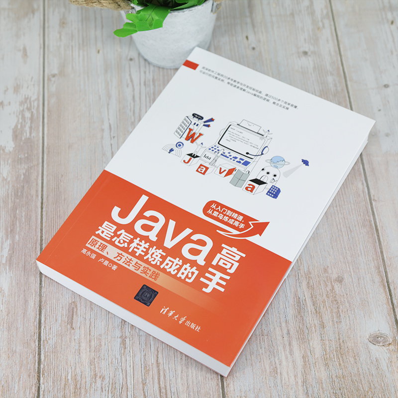 Java高手是怎样炼成的：原理、方法与实践