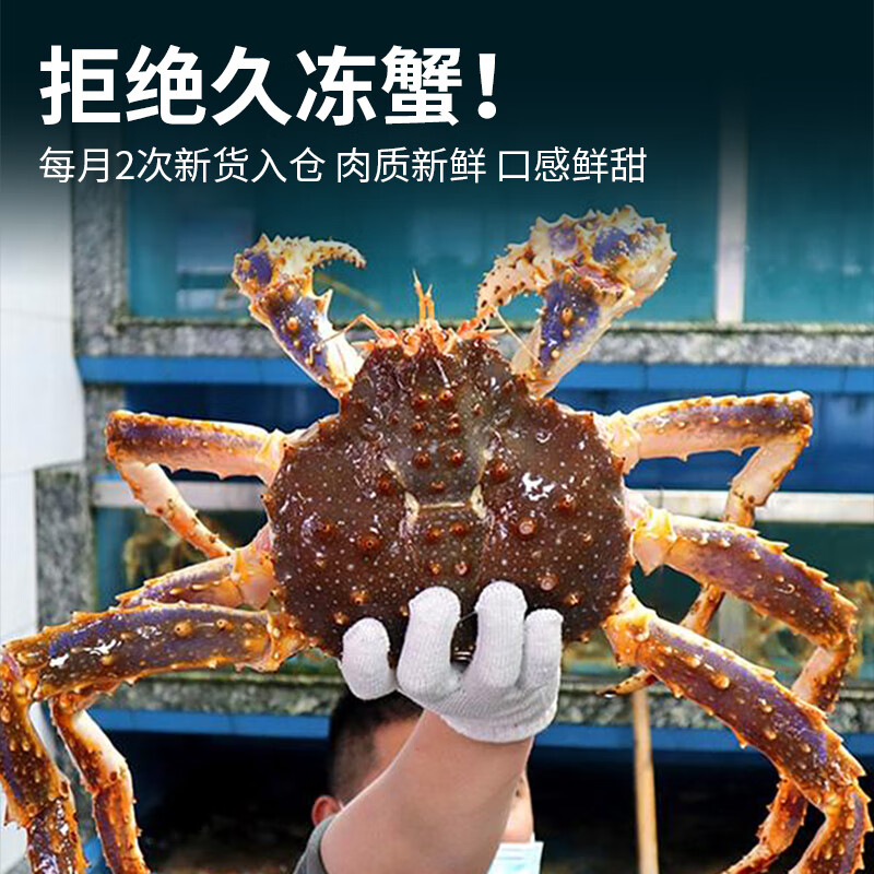 鲟好物 俄罗斯帝王蟹冰鲜冷冻帝皇蟹大螃蟹生鲜春节年货送礼佳品 净重4-4.5斤/只【推荐款】