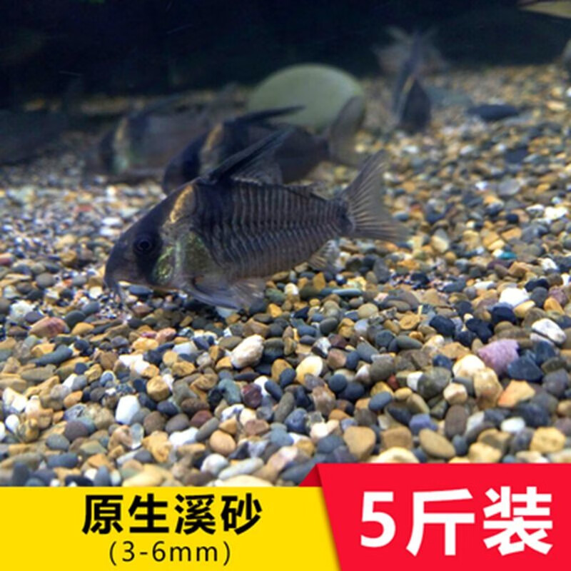 内行人说说蓝宝鱼缸底沙性价比高吗？评测二周感受分享