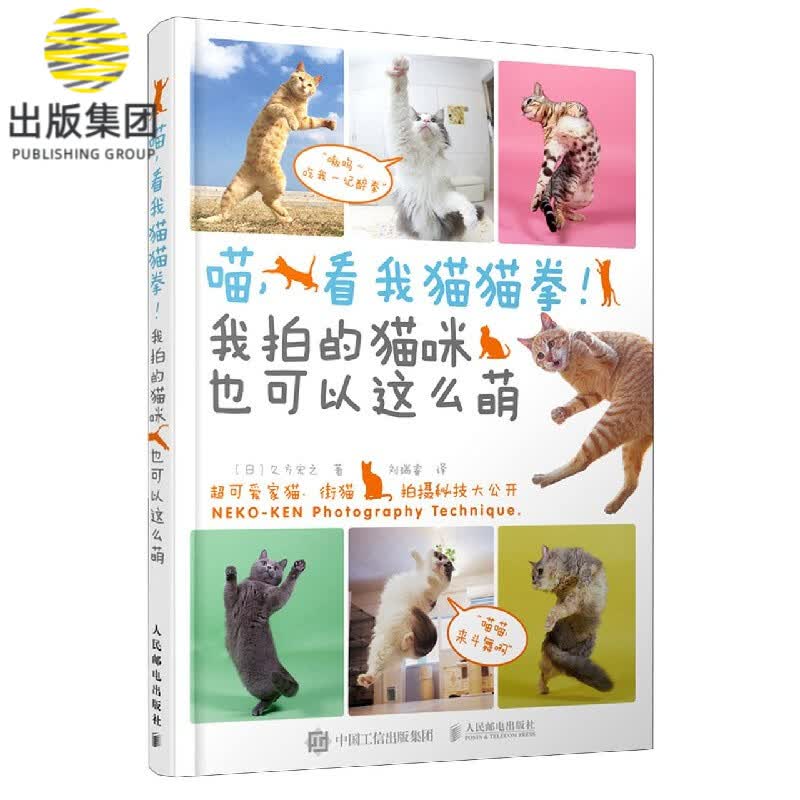 喵看我猫猫拳我拍的猫咪也可以这么萌