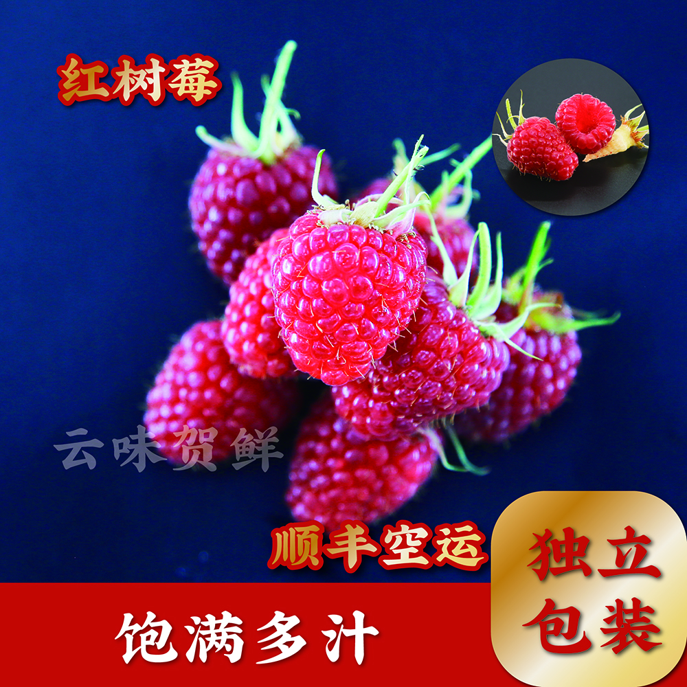 顺丰空运 新鲜红树莓带叶覆盆子新鲜水果酸甜可口独立包装礼盒 4盒装（500g） 125g/盒