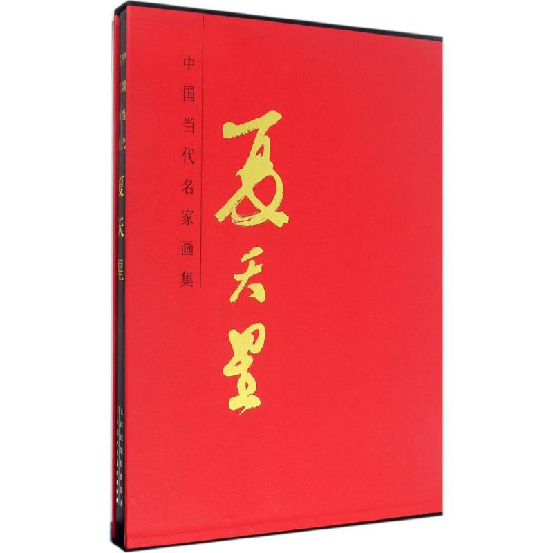 中国当代名家画集夏天星 夏天星 绘 书籍