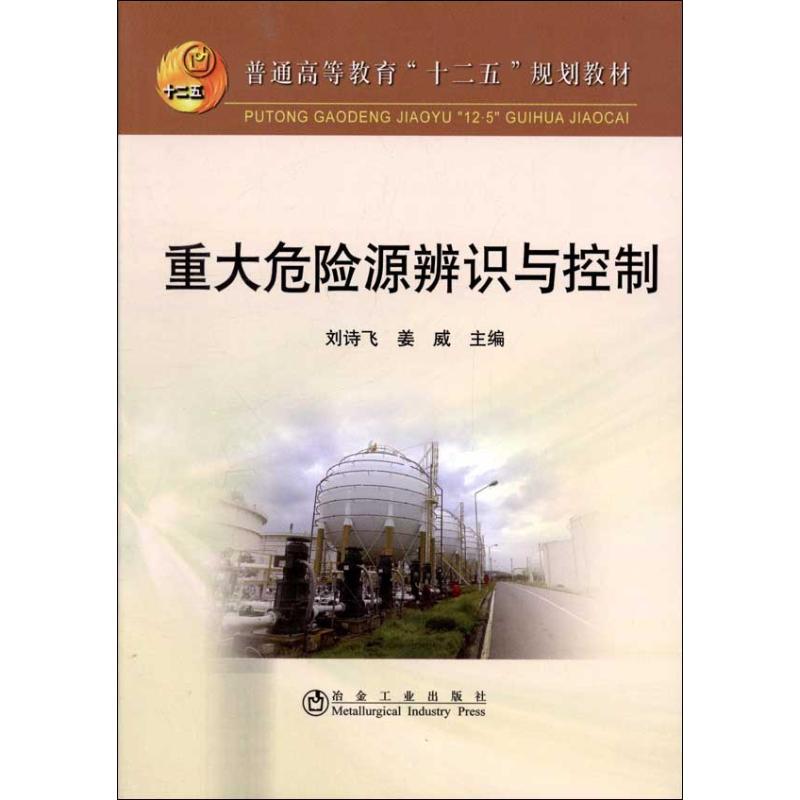 重大危险源辨识与控制 刘诗飞 编 作 书籍