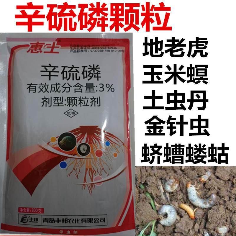 辛硫磷颗粒剂土壤土虫丹地老虎蛴螬蝼蛄玉米螟地下害虫农药杀虫剂 800