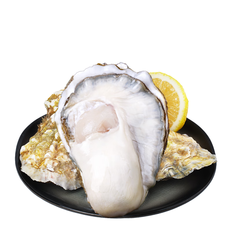 ��˾�� �ʻ���ɽ��̬���2XL ����9�� 32-38ֻ ����Դͷֱ�� 118Ԫ