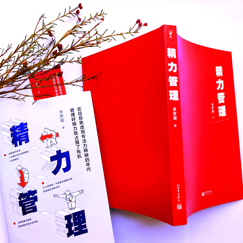 精力管理（在信息焦虑而专注力稀缺的年代，管理好精力就占据了先机）详情图