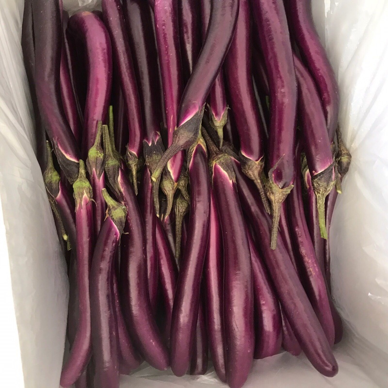 线茄 相关京东优惠商品 3 价格图片品牌优惠券 虎窝购