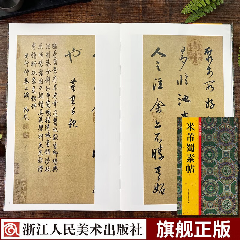 历代法书掇英:米芾蜀素帖 简体旁注释文注释 行书字帖高清名家墨迹