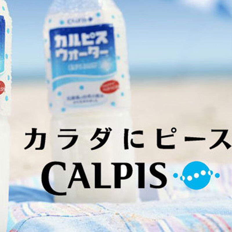 卡乐比斯（Calpis） 乳酸菌饮料 500ml 日本进口朝日可尔必思