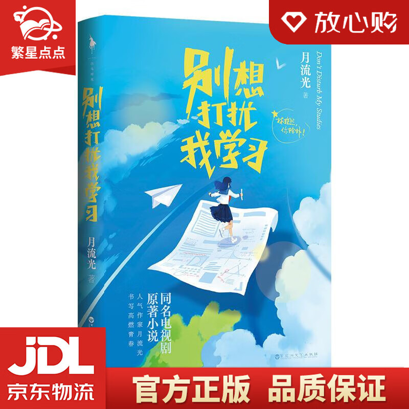 别想打扰我学习 月流光 百花洲文艺出版社