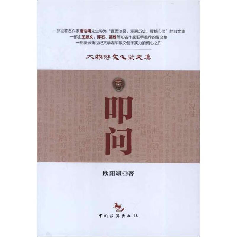 叩问 欧阳斌 书籍