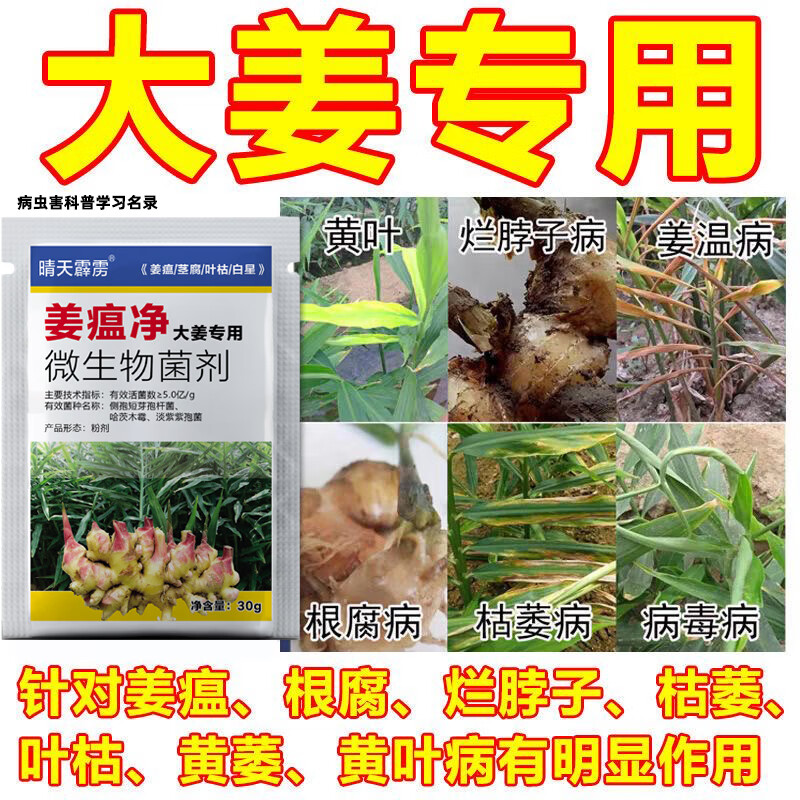 大姜病害专用药大姜沙姜姜瘟病根腐病烂脖子病黄叶专用微生物菌剂 25g