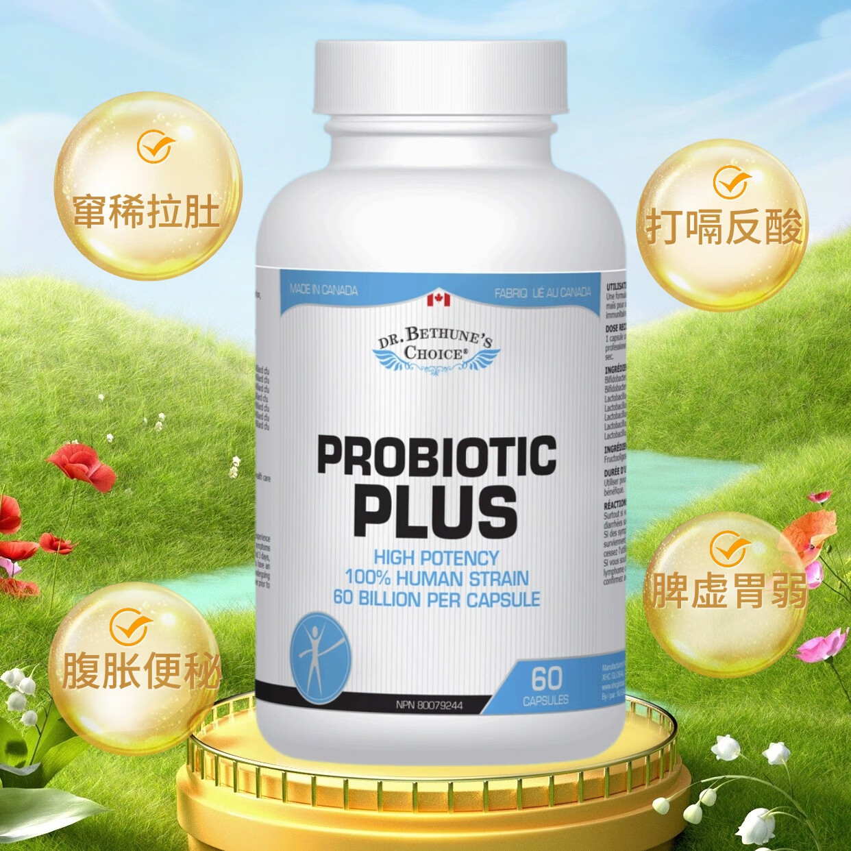 Dr. Bethune's Choice白求恩医生之选 成人中老年益生菌胶囊600亿活菌 肠道菌群平衡  益生菌胶囊 60粒*1瓶