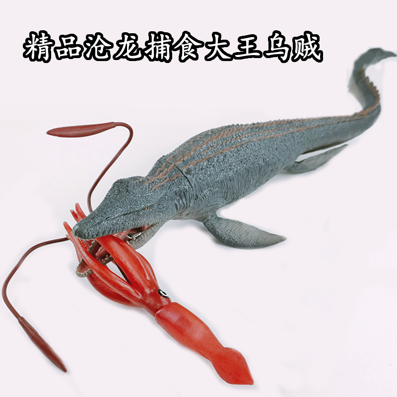 大王乌贼模型大王乌贼抹香鲸模型鱿章鱼鱿鱼八爪鱼模型巨型枪酸浆海洋